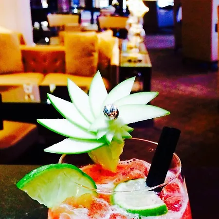 Park - Mgallery Collection Ξενοδοχείο Γκρενόμπλ