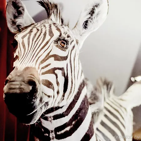 Ξενοδοχείο Park - Mgallery Collection 4*