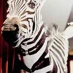 ホテル パーク ホテル グルノーブル Mギャラリー バイ ソフィテル グルノーブル