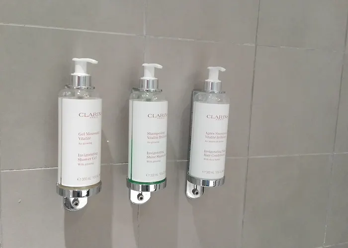 Park - Mgallery Collection Otel Grenoble