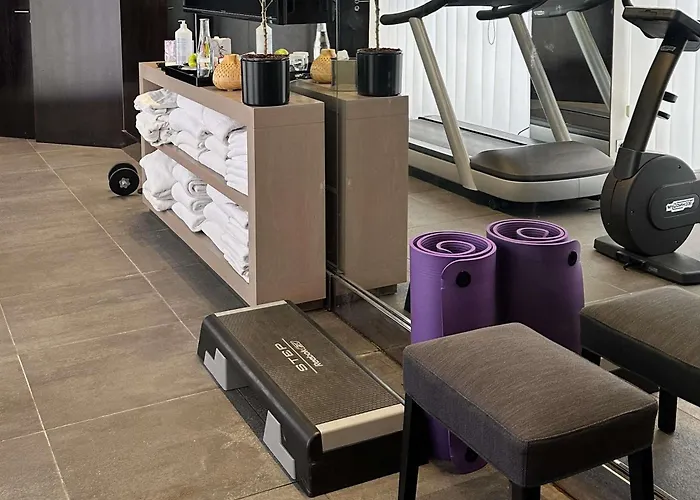 Park - Mgallery Collection 4* Grenoble