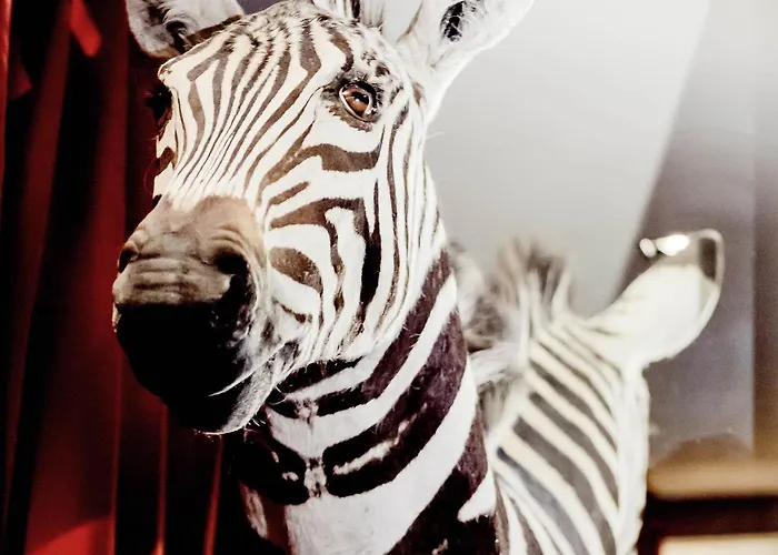 Отель Park - Mgallery Collection Гренобль